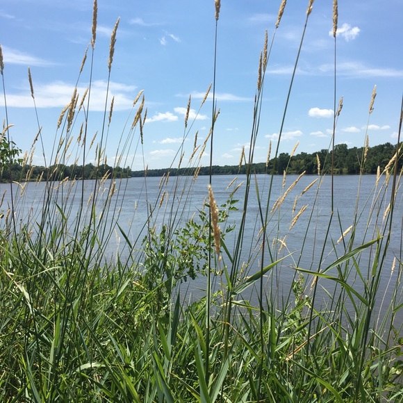 Meet your Posher, Rondályn - Picture 1 of 1